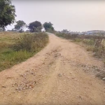 Agriculture Land With Mango Farm Janagon