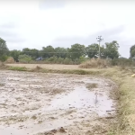 5 Acre Agriculture Land for Sale In Siddipet
