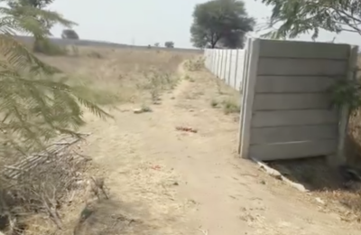 3 ACRE16 GUNTA LAND FOR SALE