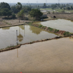 Agriculture Lands for Sale Near Vangapally