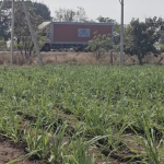 1 Acre 3 gunta land for sale zaheerabad