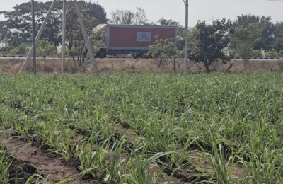 1 Acre 3 gunta land for sale zaheerabad