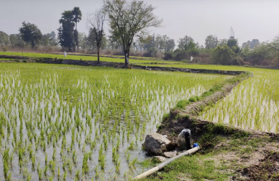 7.0 Acres Agriculture Lands for Sale in Nalgonda District