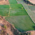 2 acres 25 guntas land for sale Near siddipet