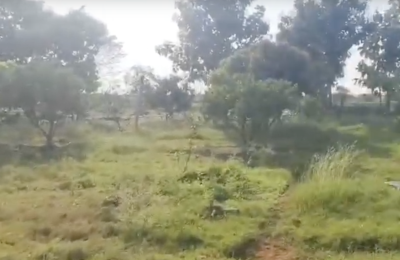 BATHAI THOTA GARDEN LAND FOR SALE IN Nalgonda District