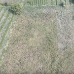 3.5 ACRS AGRICULTURE LAND FOR SALE IN DEVARUPPULA