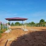 Agriculture Lands for Sale in Siddipet