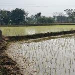 20 Guntas land for sale