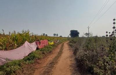 30 Guntas Land for sale