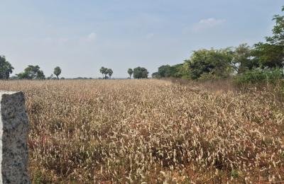 3 Acre's Land For Sale