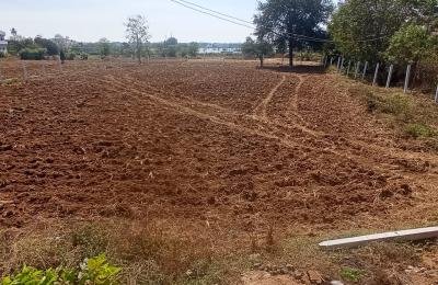 9 Guntas land for sale  in Wargal