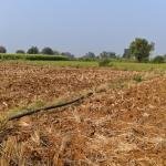 20 GUNTAS LAND FOR SALE IN WARGAL MANDAL