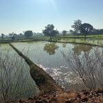 10 Guntas Land For Sale IN Siddipet District