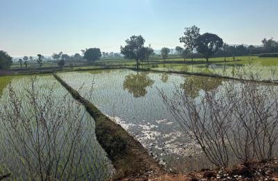 10 Guntas Land For Sale IN Siddipet District