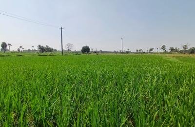 1 Acre land for sale in Nangunoor mandal