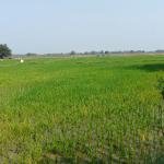 2.12 Acres land for sale in Siricilla District