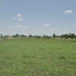 34 Guntas Land For Sale