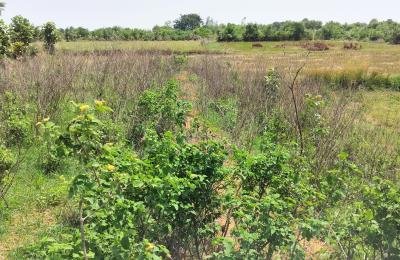 1 Acre land For Sale