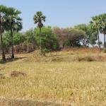 2 Acres land for sale