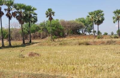 2 Acres land for sale